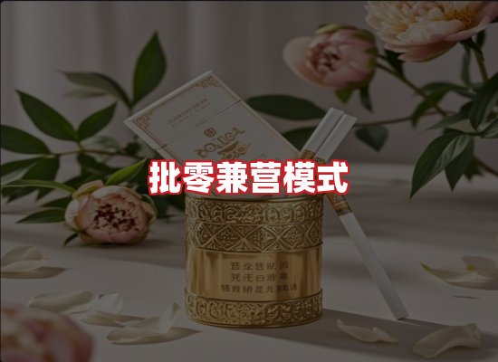 专业团队